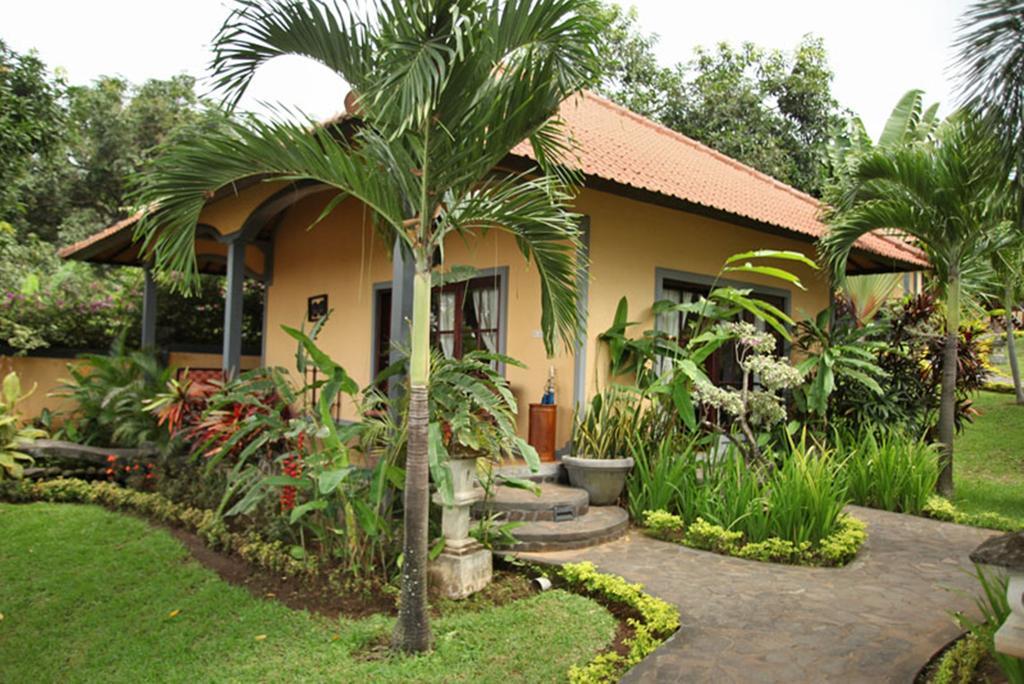 Puri Mangga Sea View Resort And Spa Lovina Eksteriør billede