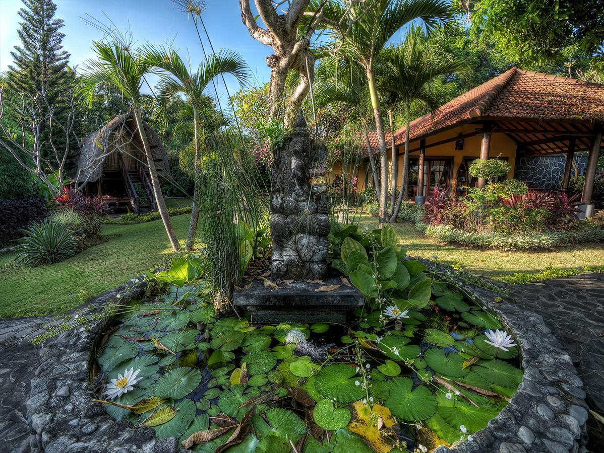 Puri Mangga Sea View Resort And Spa Lovina Eksteriør billede