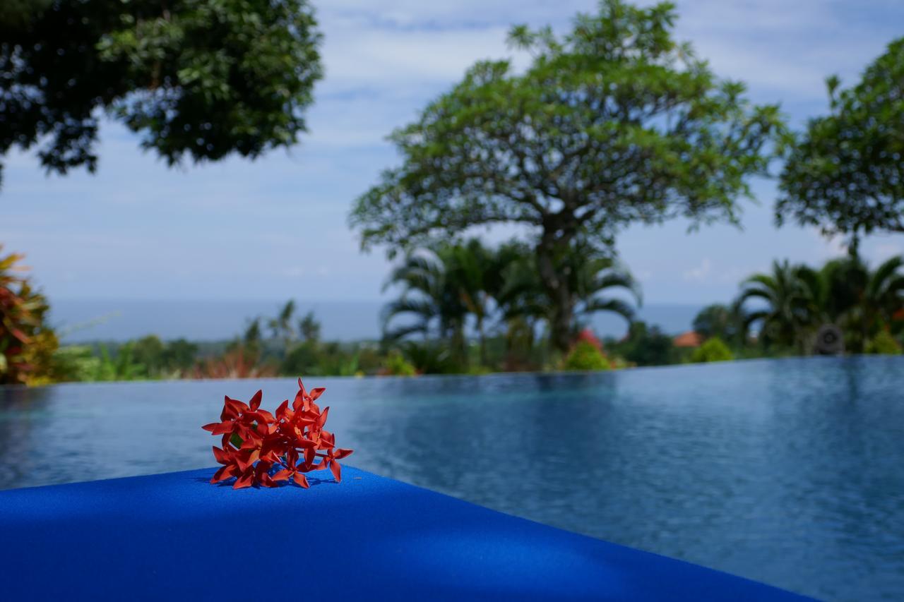 Puri Mangga Sea View Resort And Spa Lovina Eksteriør billede